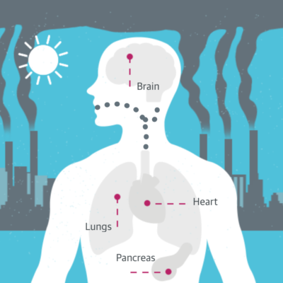 main air polluttants