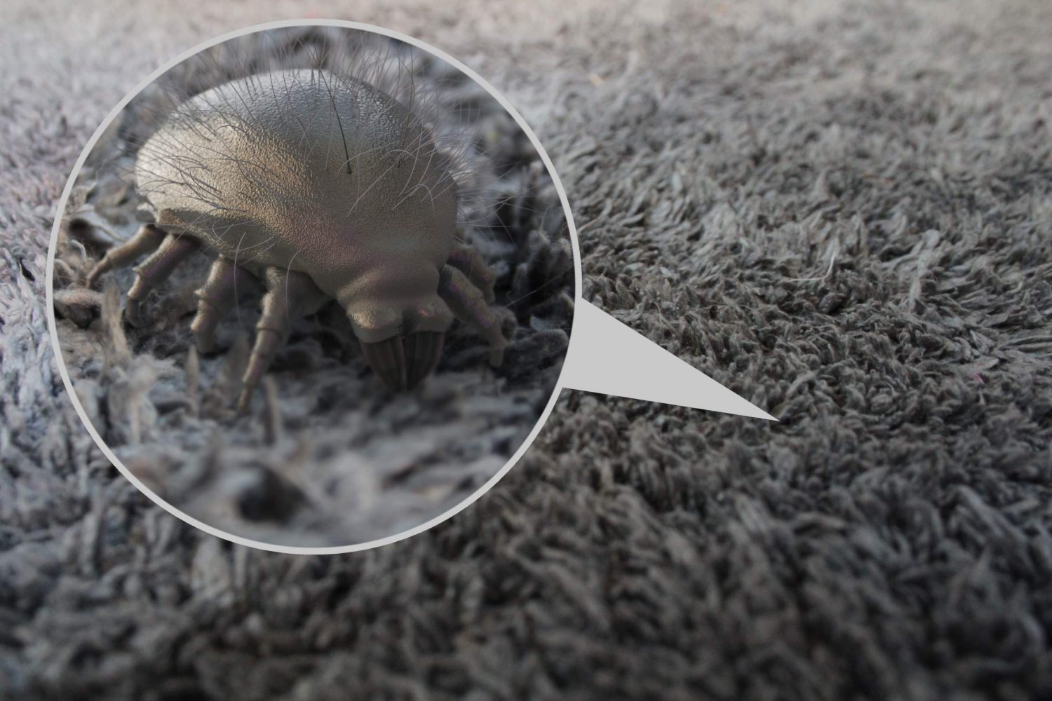 can dust mites live in tempur mattress