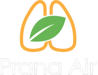 Prana Air logo