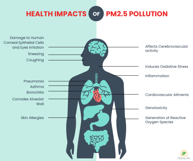 What is PM2.5 particulate matter? | SOURCES & IMPACTS