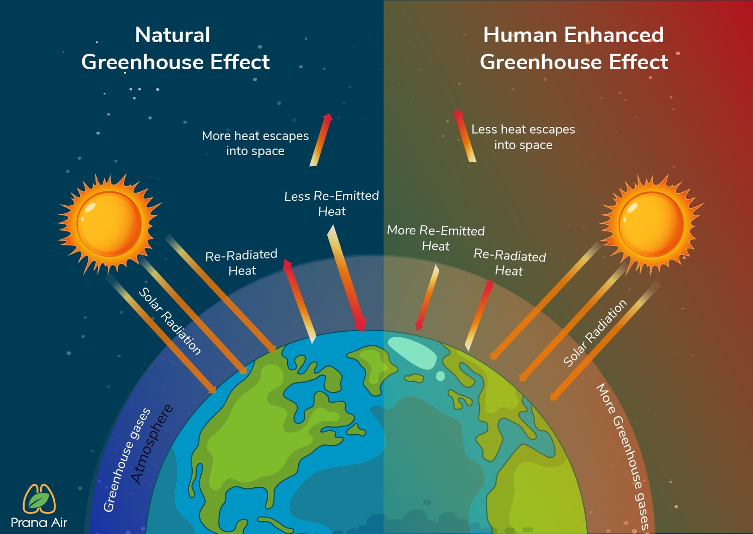 Argumentative essay greenhouse effect