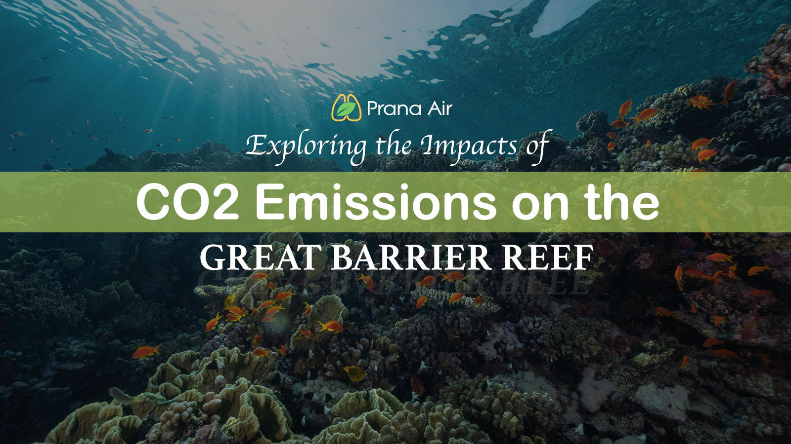 What is Coral Bleaching and how does it impact the Great Barrier Reef?