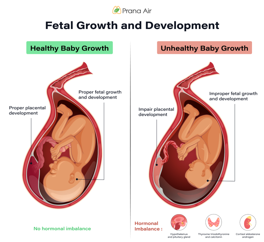 Fetal growth and development issue due to air pollution