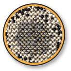 nanocystalline carbon in prana air car cabin air filter