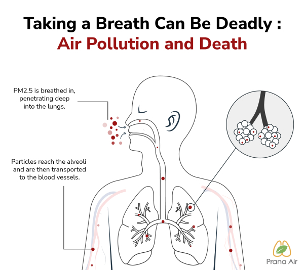 PM2.5 dringt direkt in die Lungen und Blutströme ein