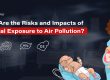 Risks and impacts of prenatal exposure to air pollution