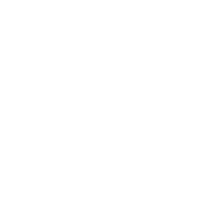 Respiratory icons