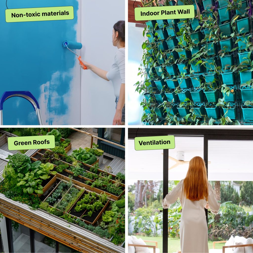 Green Building strategies: non-toxic paints, green wall, green roof