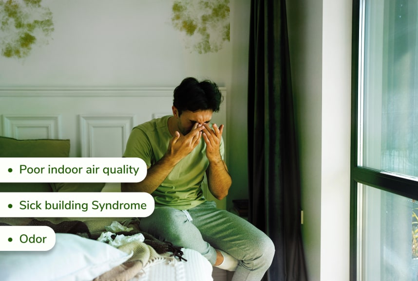 Bioaerosols affecting the air quality and health of a person causing different conditions like odor, SBS