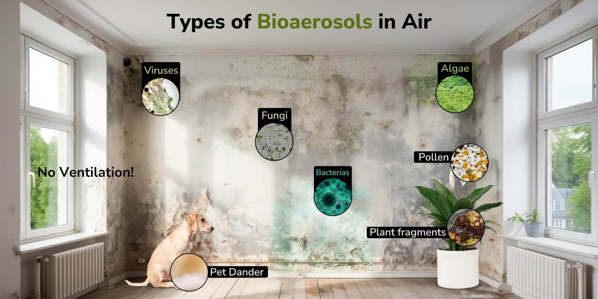 Tipos de bioaerossóis na qualidade do ar incluem vírus, bactérias, mofo, fungos, etc.